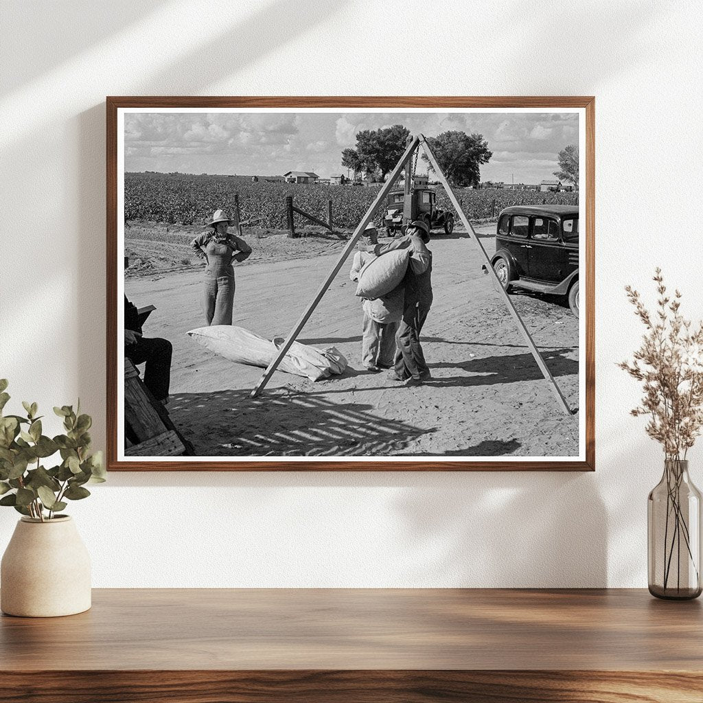 Weighing Cotton in Kern County California 1938 - Available at KNOWOL