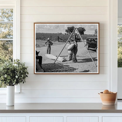 Weighing Cotton in Kern County California 1938 - Available at KNOWOL