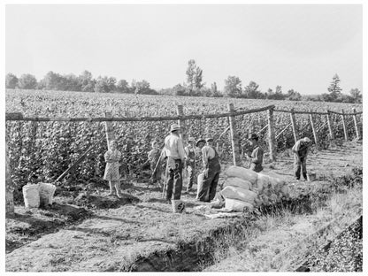 Weight Scales at Bean Field Oregon August 1939 - Available at KNOWOL