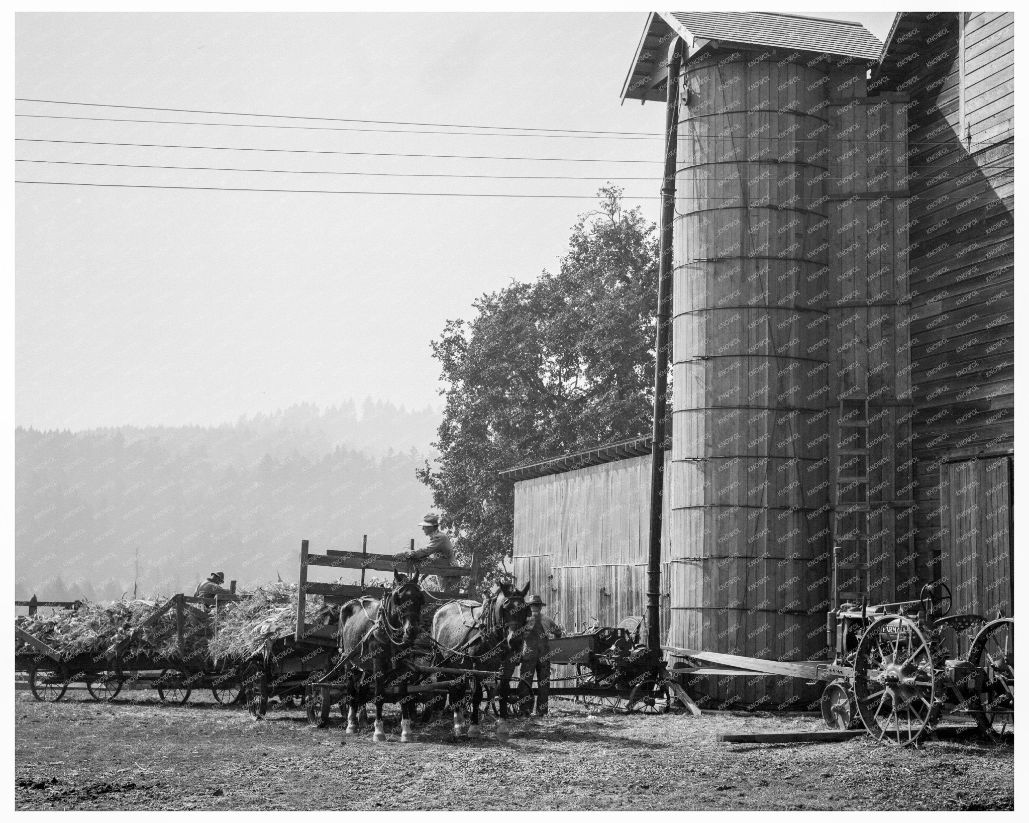 West Carlton Oregon Corn Storage Yard October 1939 - Available at KNOWOL