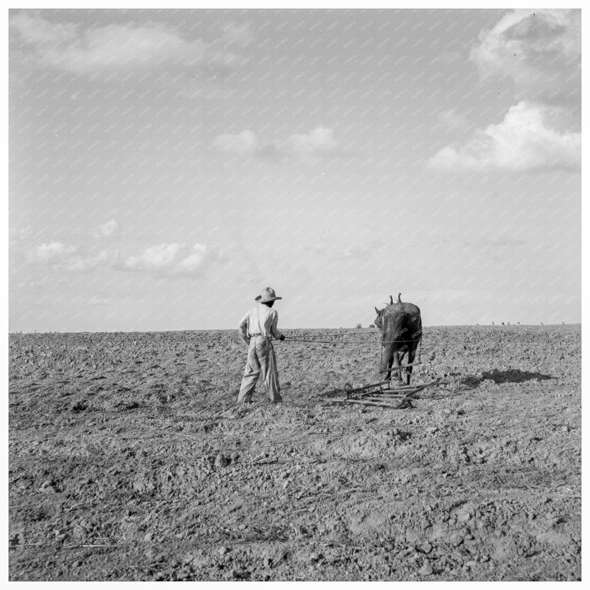 West Texas Agricultural Scene June 1937 - Available at KNOWOL