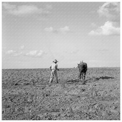 West Texas Agricultural Scene June 1937 - Available at KNOWOL