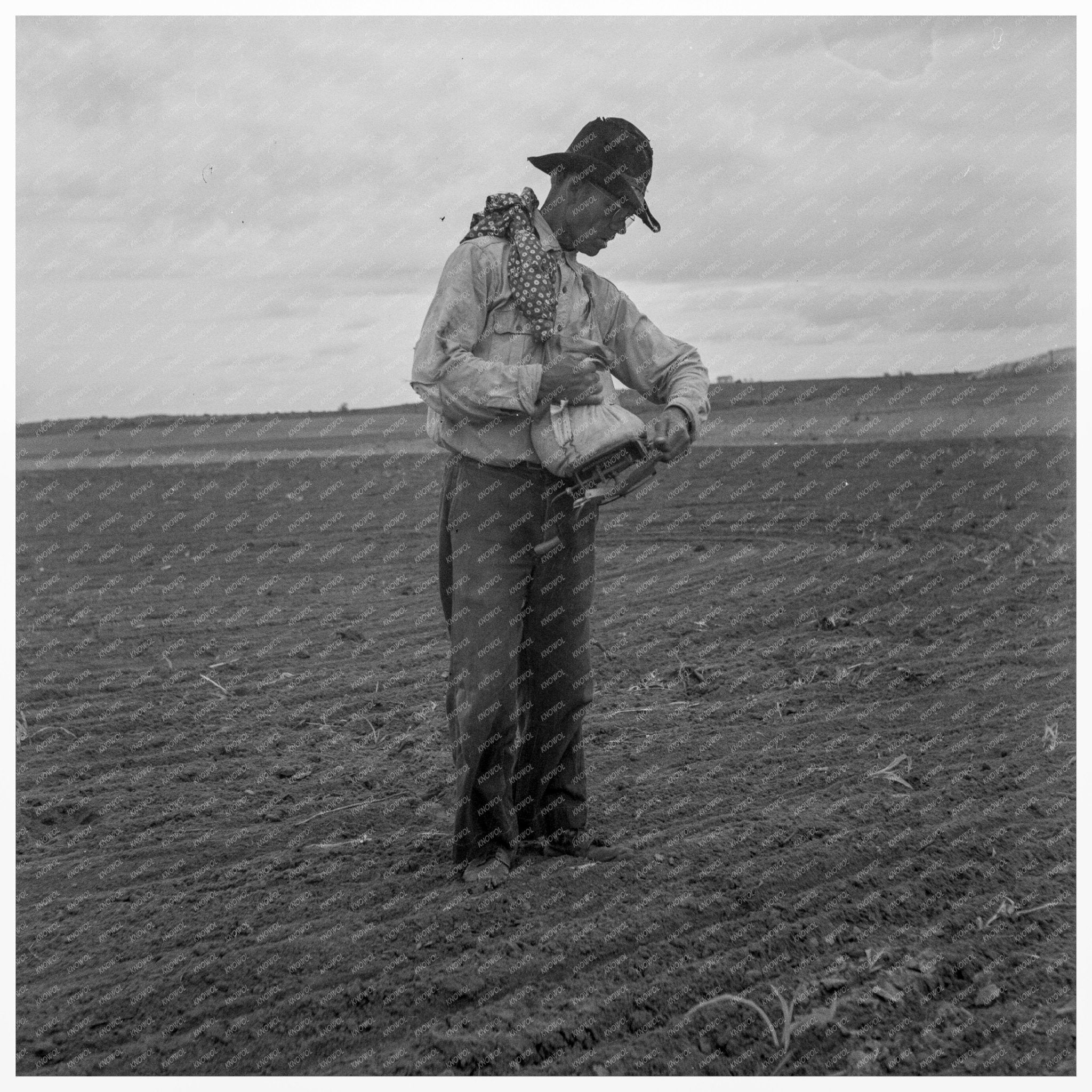 West Texas Farmer Sowing Millet June 1937 - Available at KNOWOL