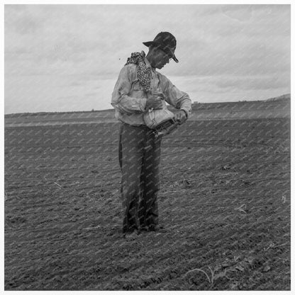 West Texas Farmer Sowing Millet June 1937 - Available at KNOWOL