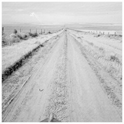 Wheat Farming in Umatilla County Oregon 1939 - Available at KNOWOL