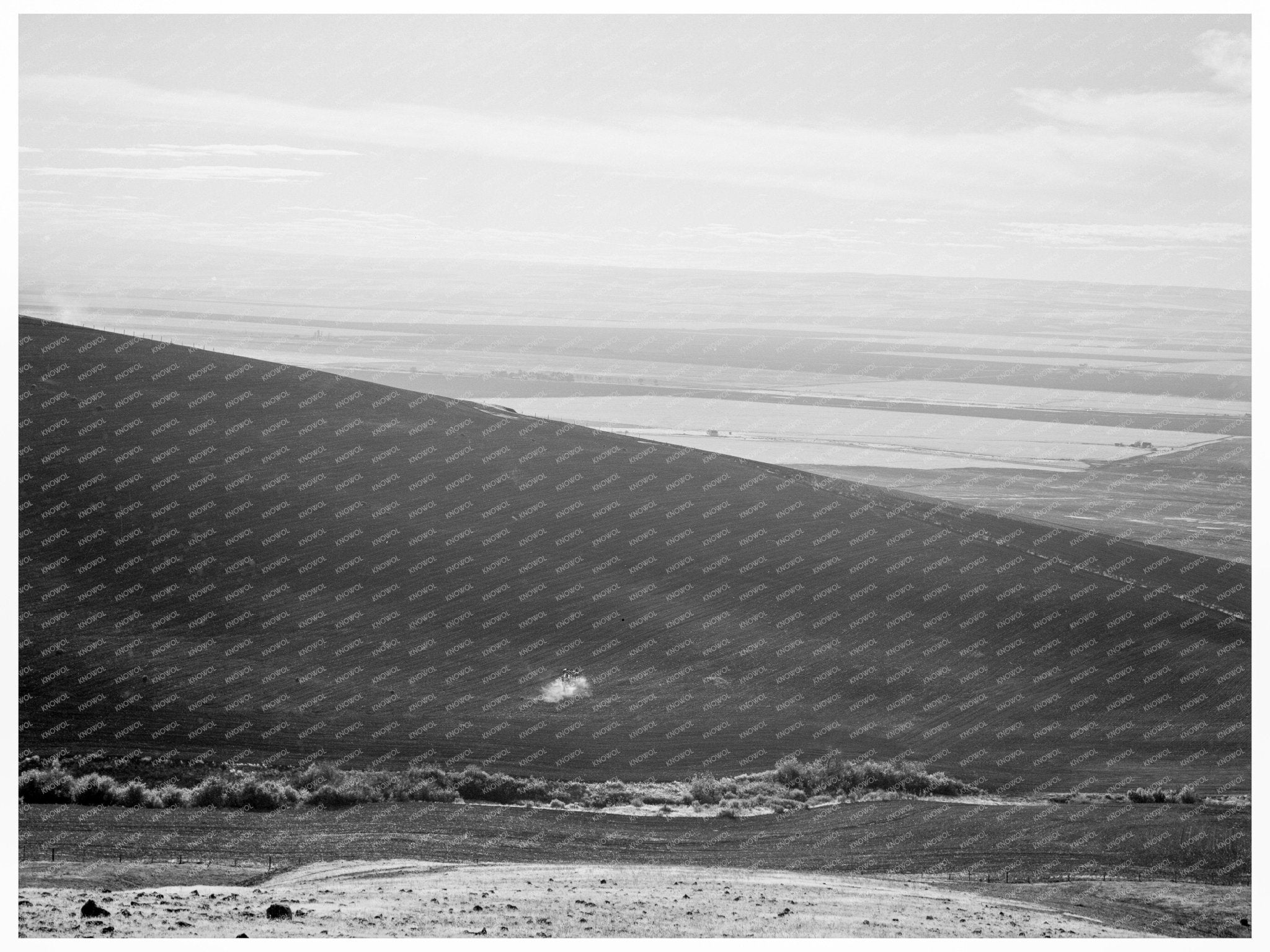 Wheat Farms in Umatilla Valley Oregon 1939 - Available at KNOWOL