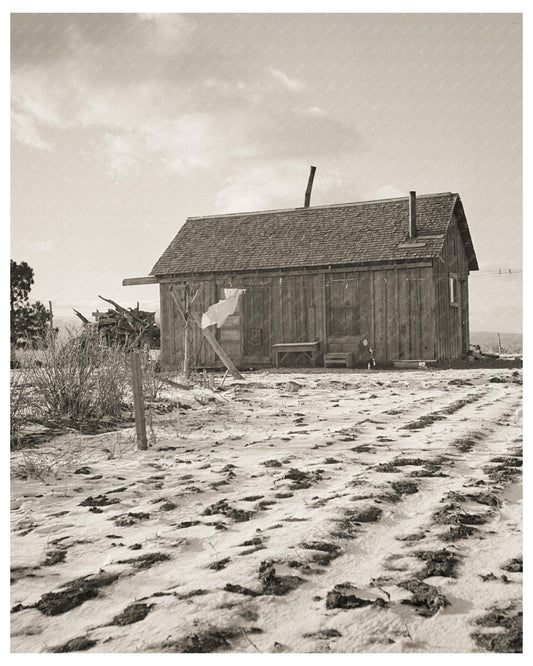 Widtsoe Farm Residence Utah April 1936 Vintage Photo - Available at KNOWOL