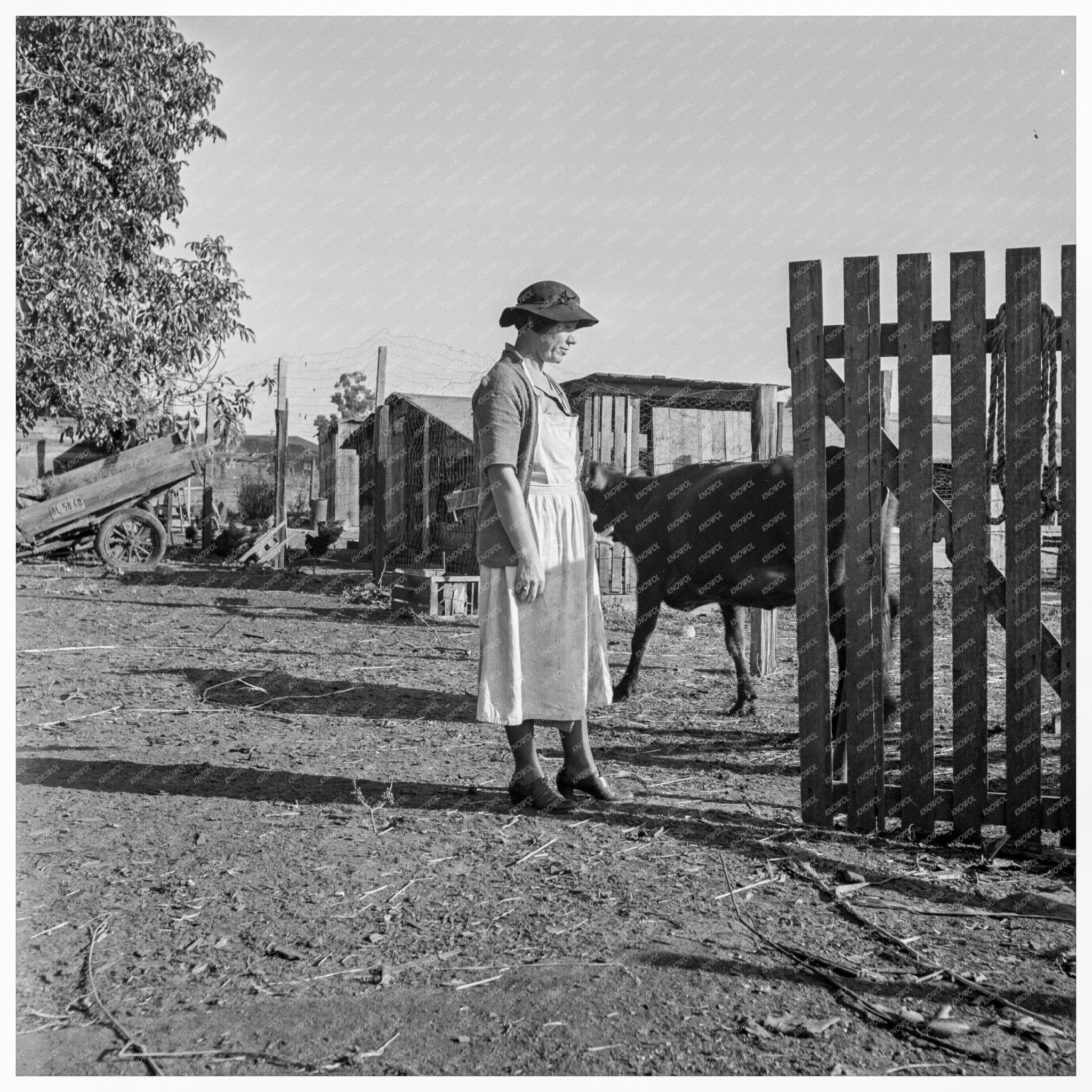 Wife of Farm Security Client Tulare County 1938 - Available at KNOWOL