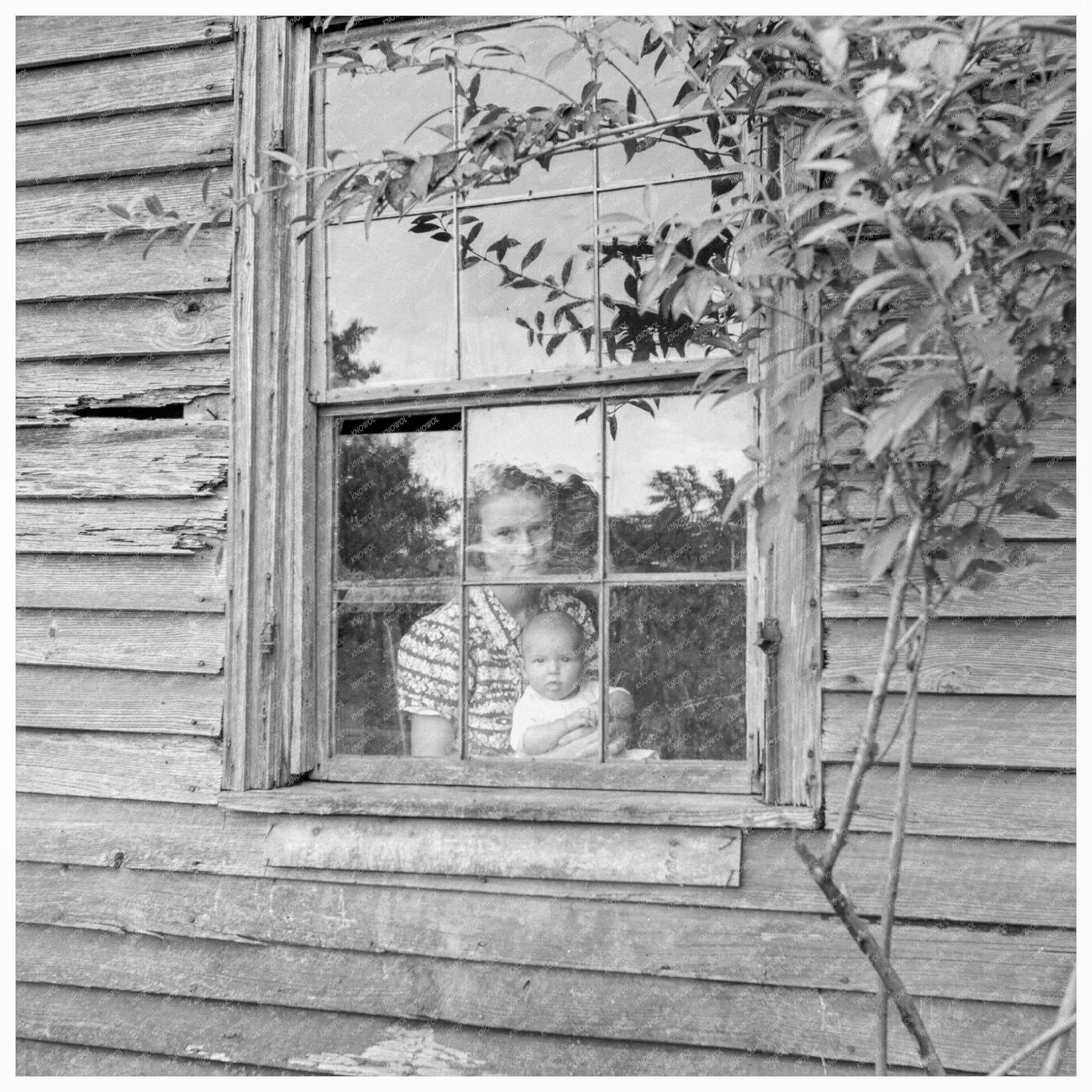 Wife of Tobacco Sharecropper with Baby July 1939 - Available at KNOWOL