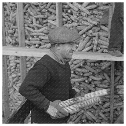 William Singer Storing Corn at Jersey Homesteads 1936 - Available at KNOWOL