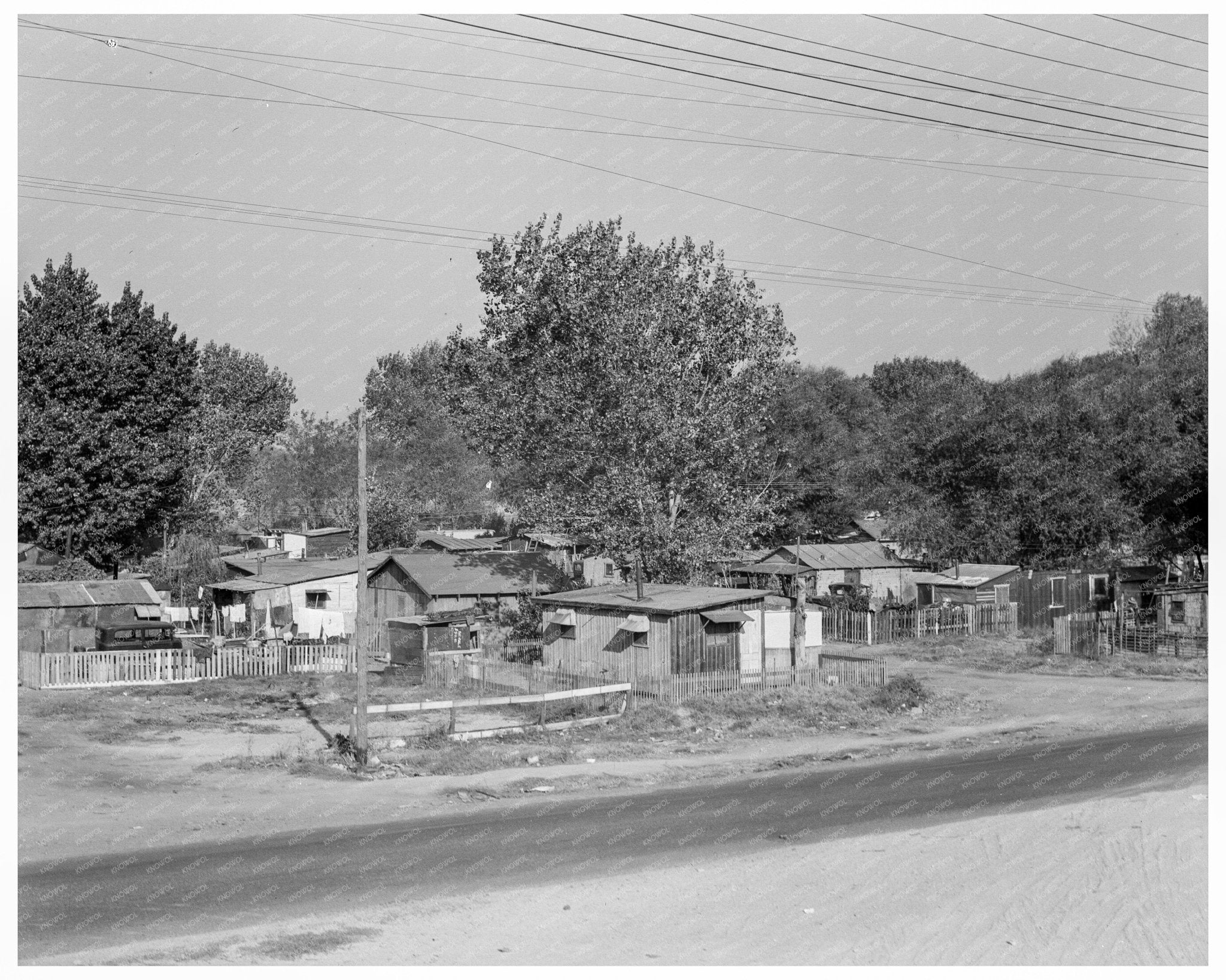 Winter Migrant Camp Sacramento California 1936 - Available at KNOWOL