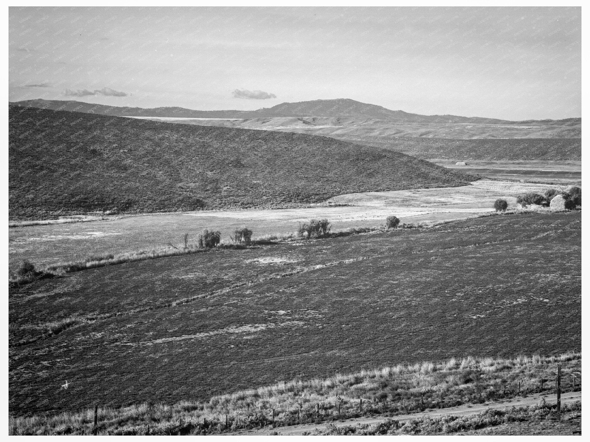 Winter Wheat Sowing in Small Finger Valley Oregon 1939 - Available at KNOWOL