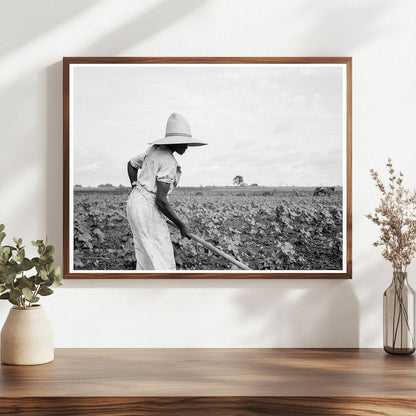 Woman Working in Field Eutaw Alabama July 1936 - Available at KNOWOL