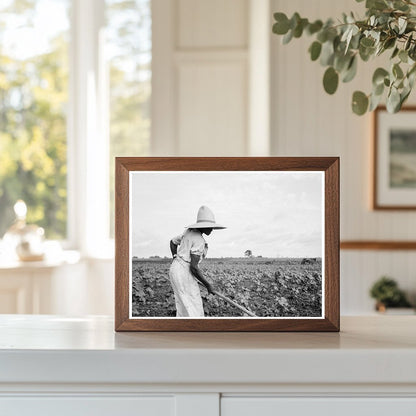 Woman Working in Field Eutaw Alabama July 1936 - Available at KNOWOL