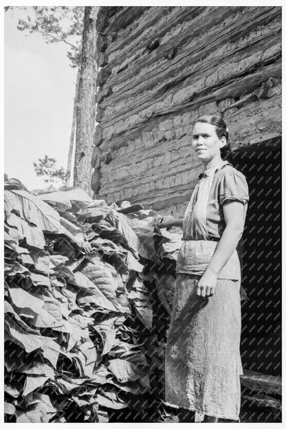 Women Stacking Tobacco in Granville County 1939 - Available at KNOWOL