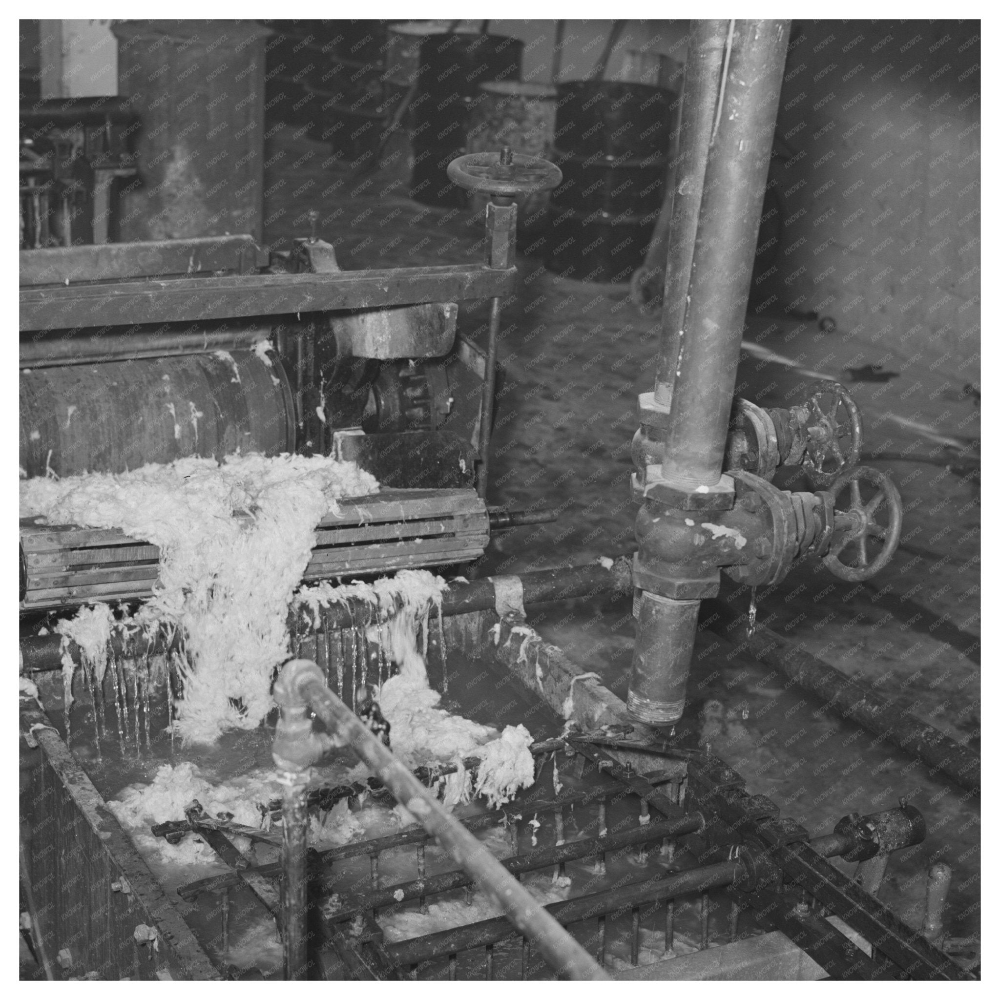 Wool Scouring Process in San Marcos Texas March 1940 - Available at KNOWOL