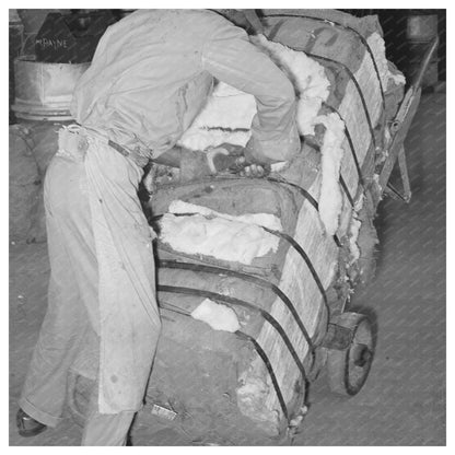 Worker Sampling Cotton in Houston Texas 1939 - Available at KNOWOL