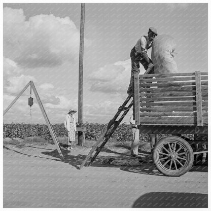 Workers Loading Cotton Bales San Joaquin Valley 1938 - Available at KNOWOL