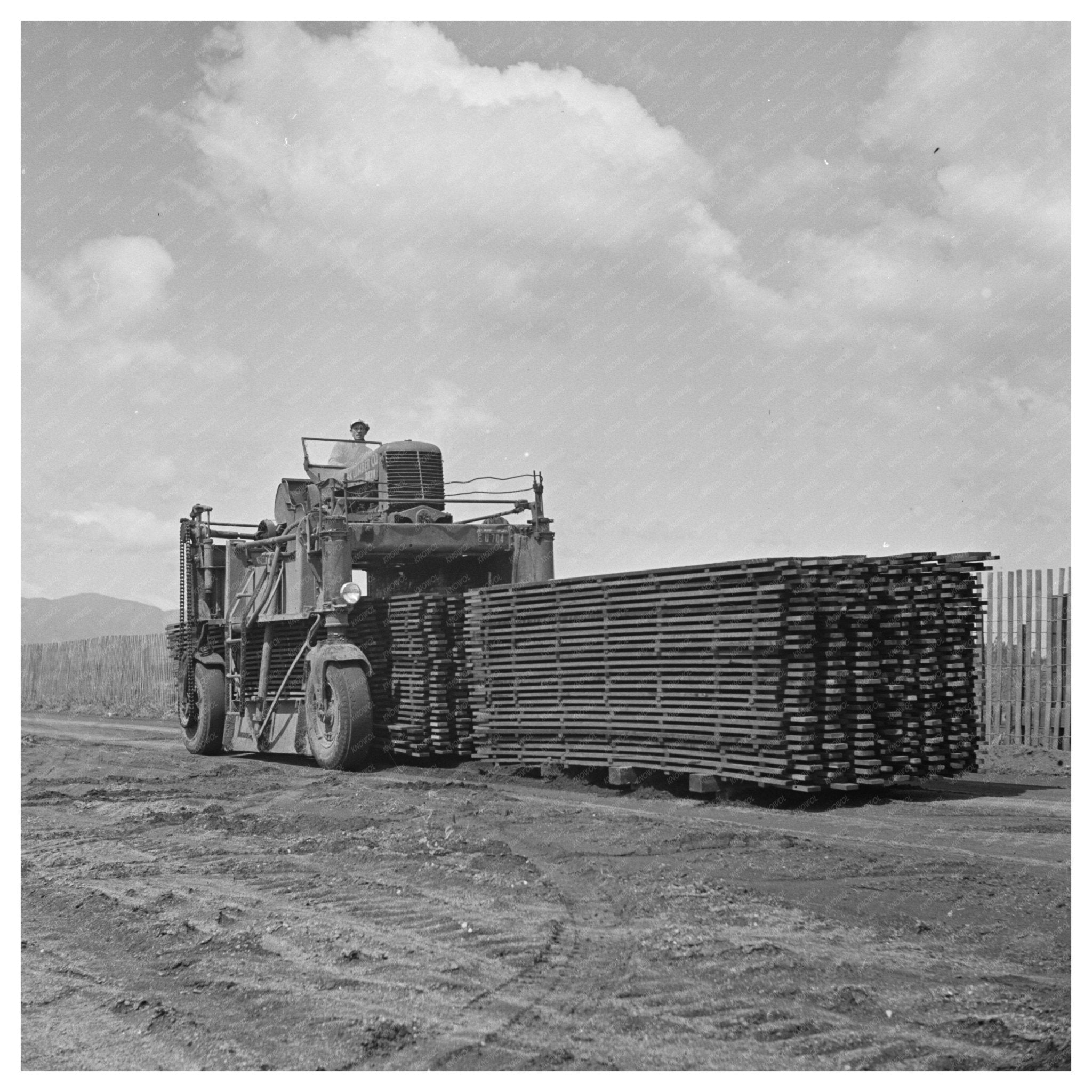 Workers Moving Duckboards at Guayule Nursery May 1942 - Available at KNOWOL