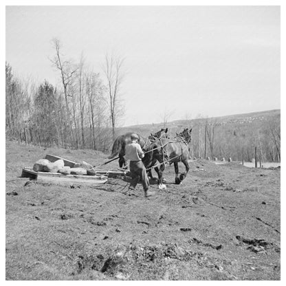 Workers Removing Stones from Stone Boat Iron County 1937 - Available at KNOWOL