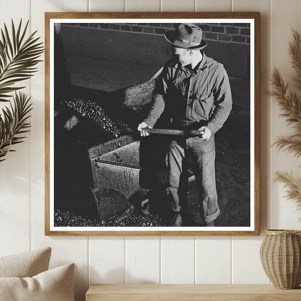 Workers Shoveling Olives at Lindsay Olive Oil Plant 1942 - Available at KNOWOL