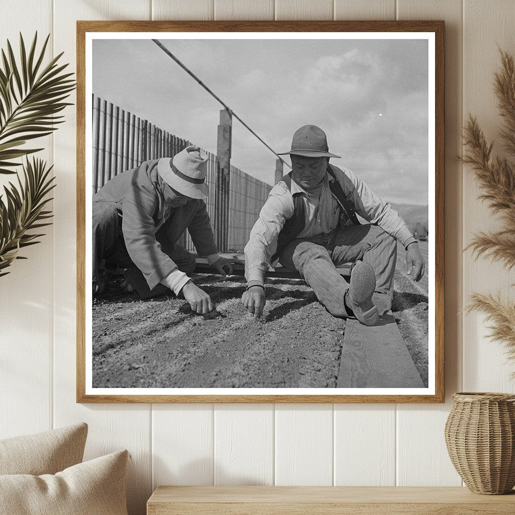 Workers Weeding Seedbeds in Guayule Nursery May 1942 - Available at KNOWOL