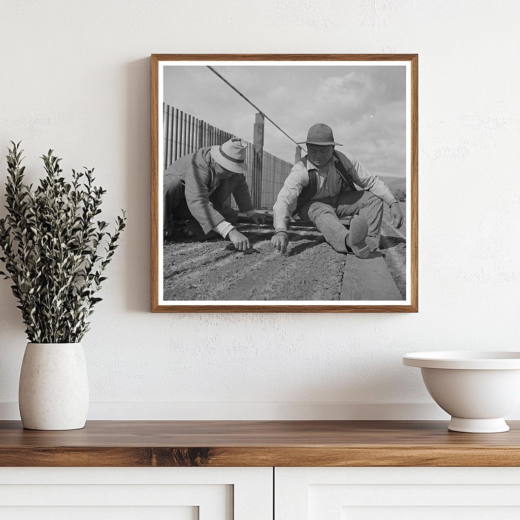 Workers Weeding Seedbeds in Guayule Nursery May 1942 - Available at KNOWOL