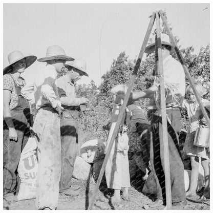 Workers Weighing Beans in Marion County Oregon 1939 - Available at KNOWOL