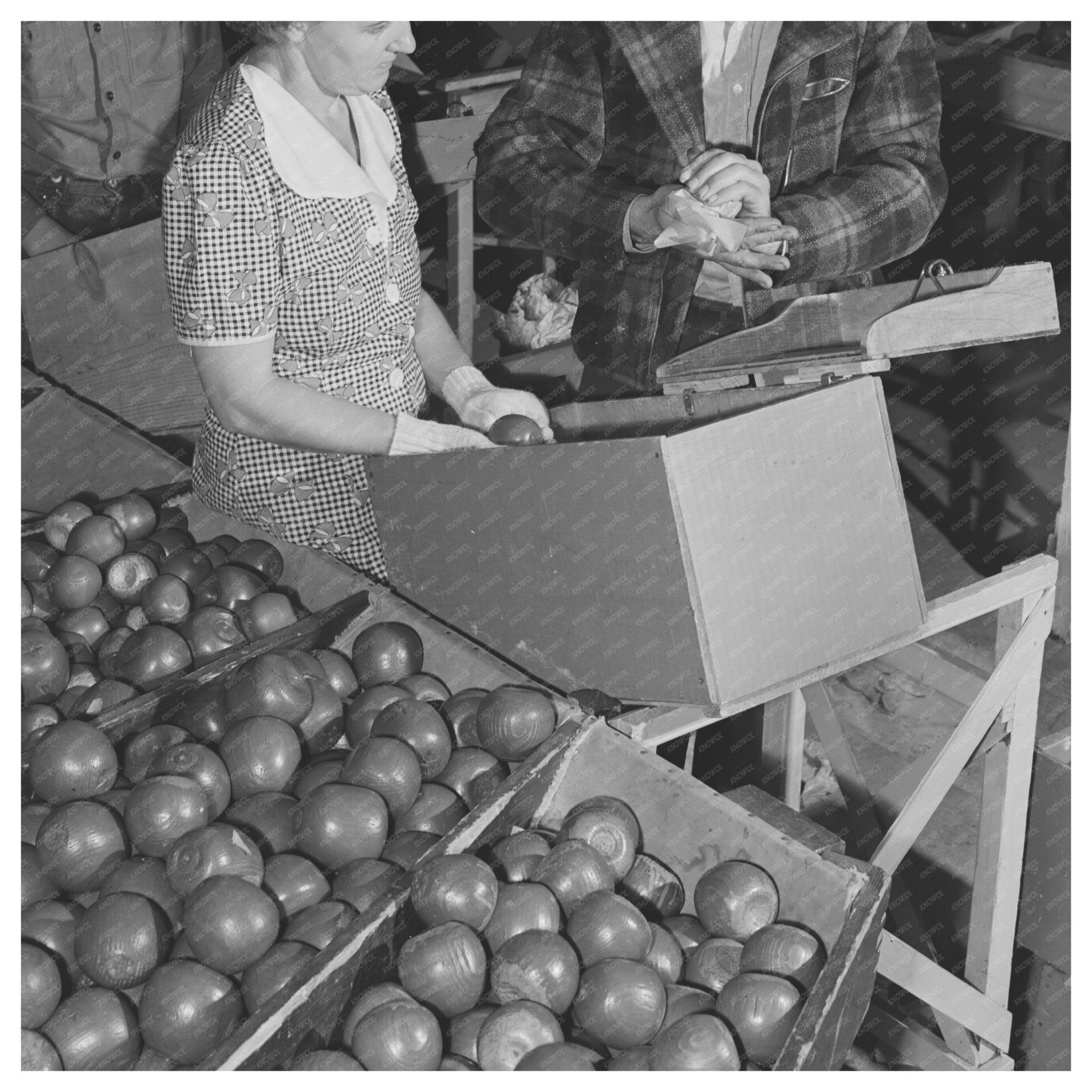 WPA Instructor Demonstrates Apple Wrapping 1941 - Available at KNOWOL