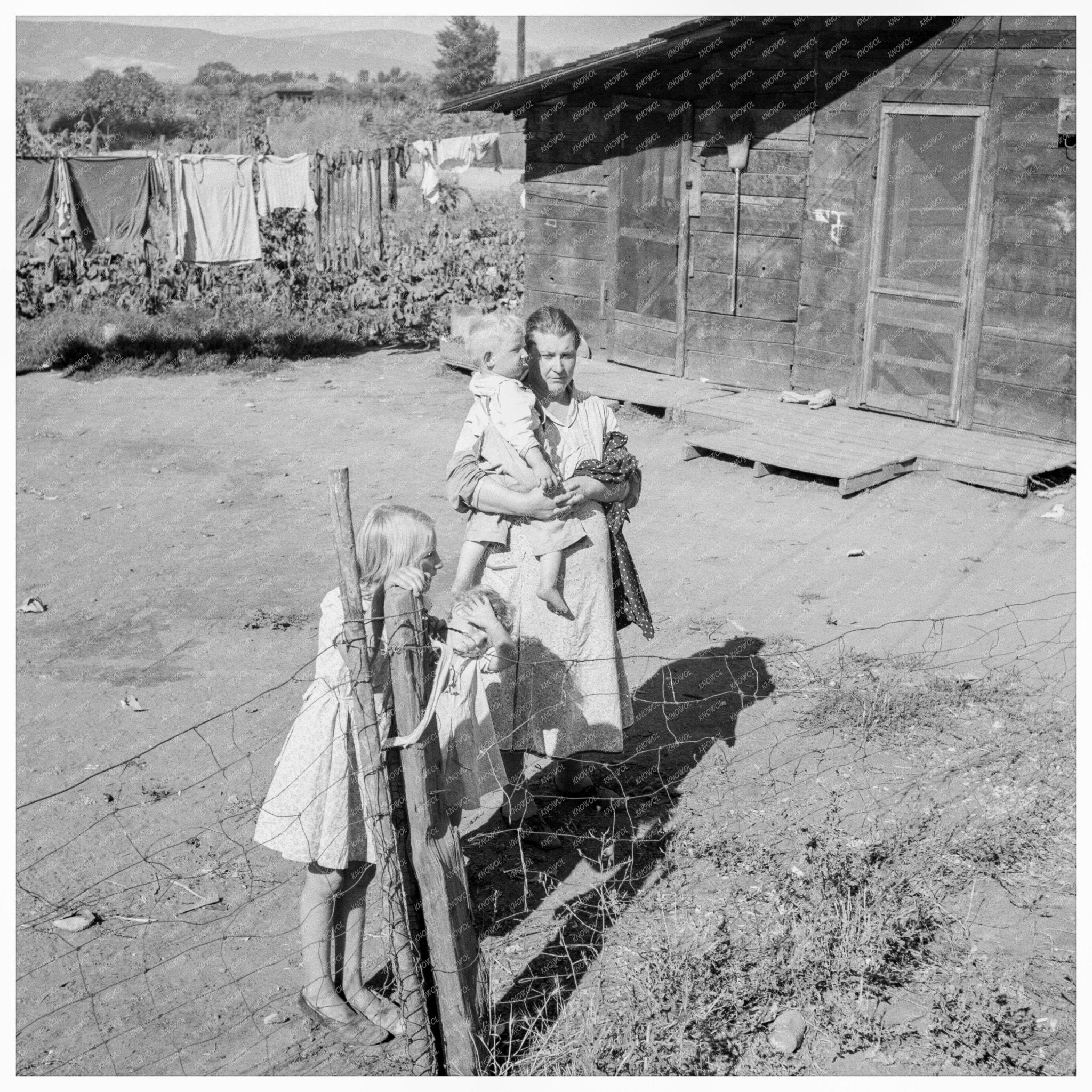 Yakima County shacktown family August 1939 photo - Available at KNOWOL