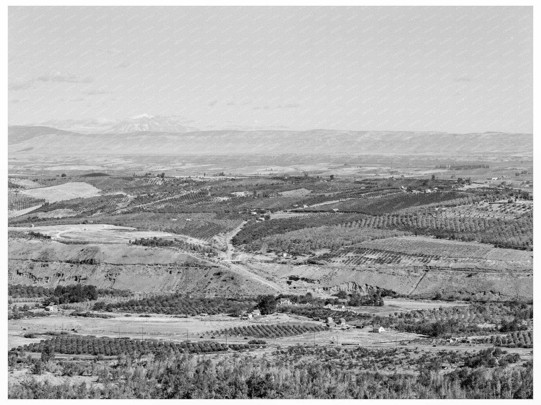 Yakima Valley Agricultural Landscape August 1939 - Available at KNOWOL