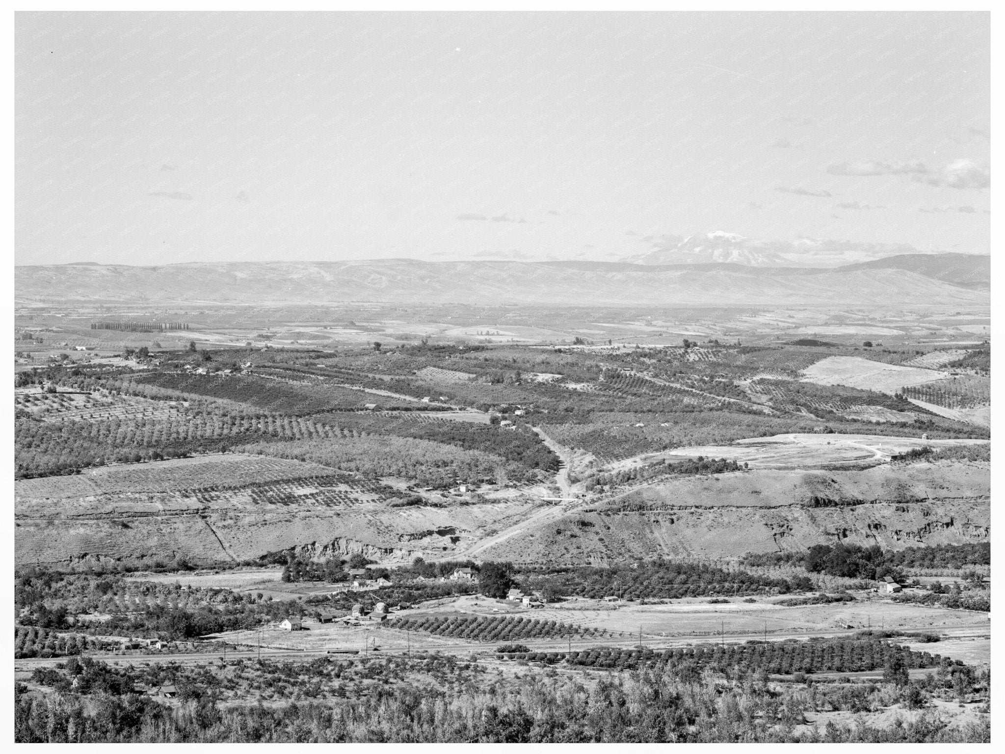 Yakima Valley Agricultural Landscape August 1939 - Available at KNOWOL