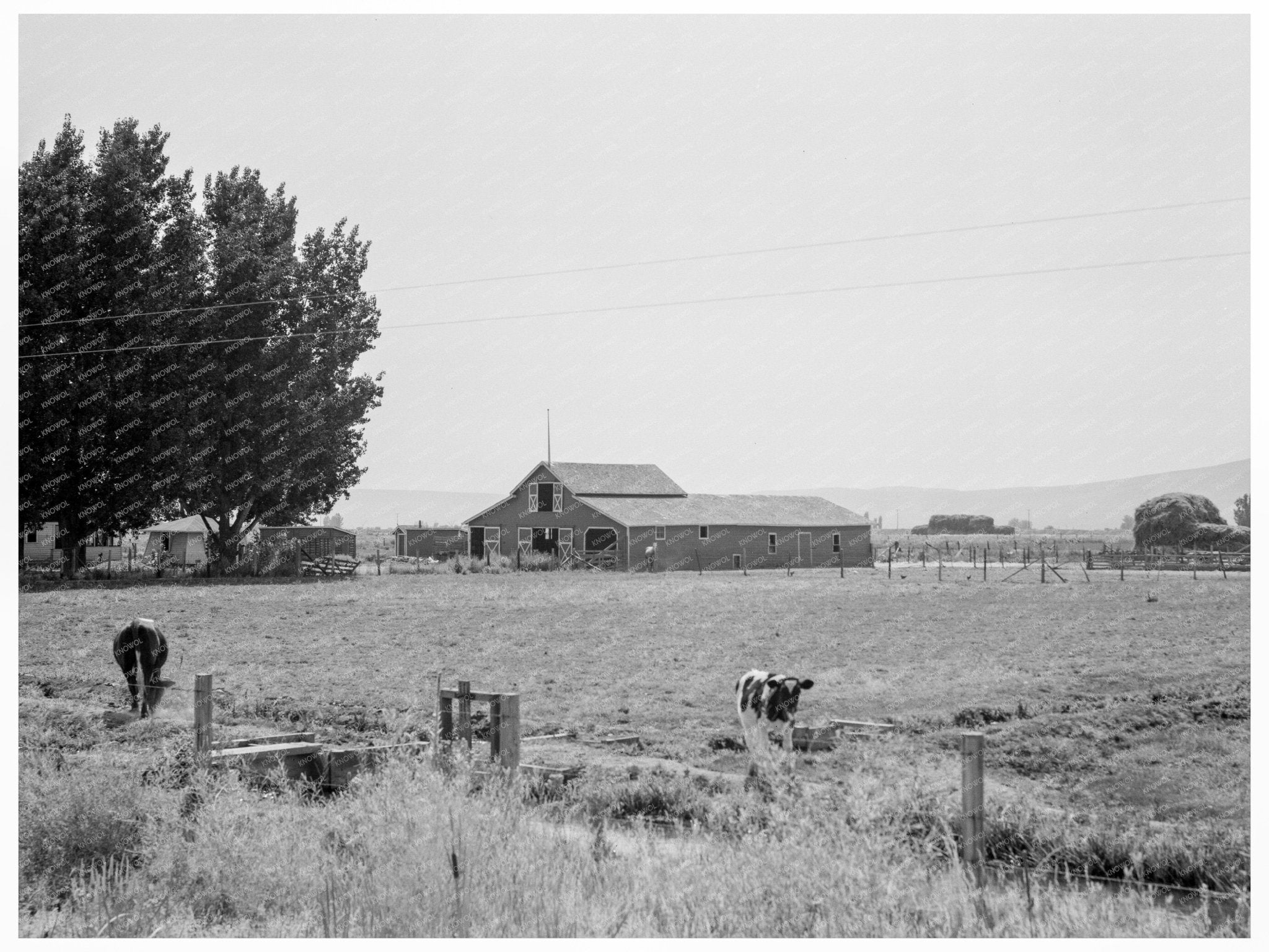 Yakima Valley Farm Life 1939 Tenant Farmers E Houston - Available at KNOWOL