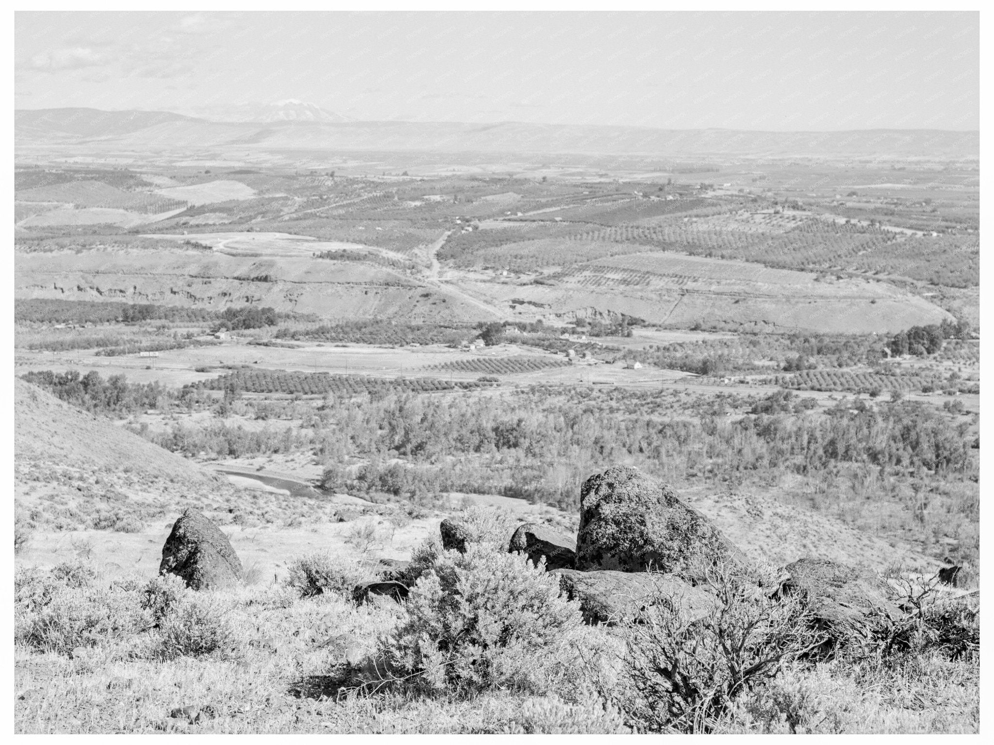 Yakima Valley Landscape August 1939 Historical Photo - Available at KNOWOL