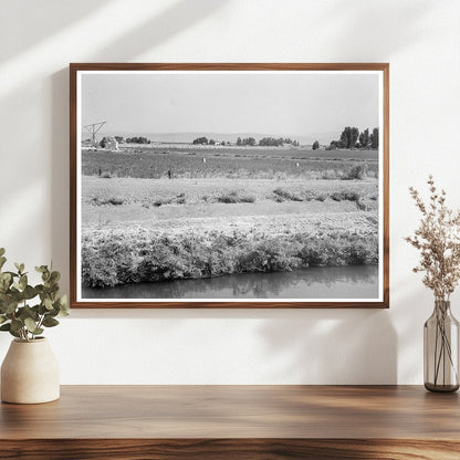 Yakima Valley Tenant Farm August 1939 Agriculture Photo - Available at KNOWOL