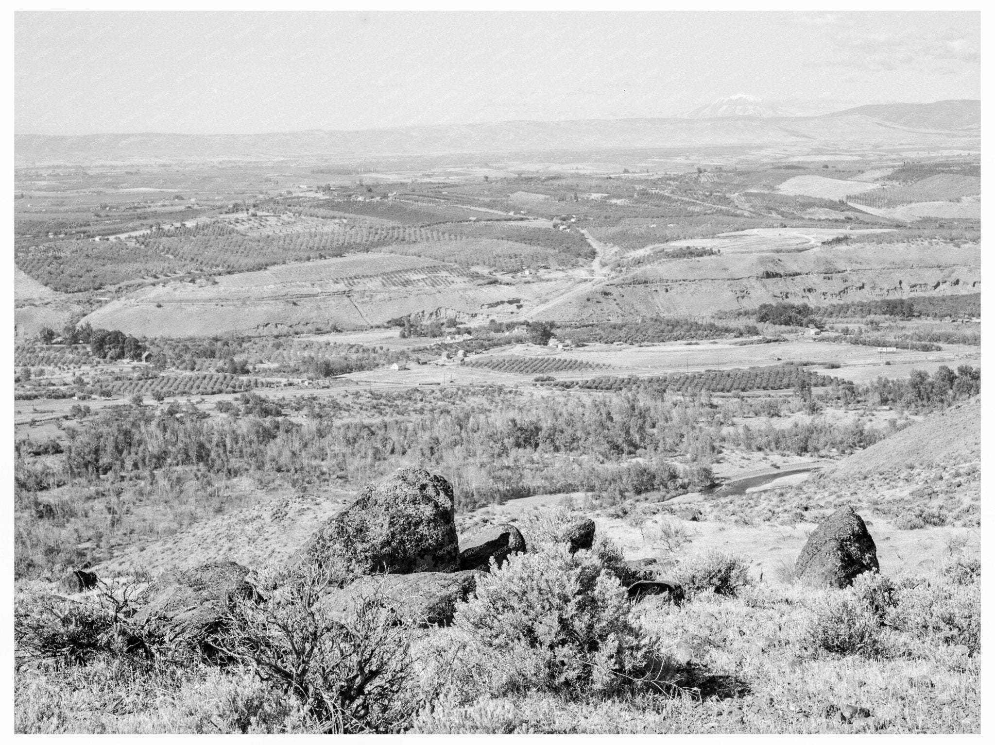 Yakima Valley Washington Scenic View August 1939 - Available at KNOWOL