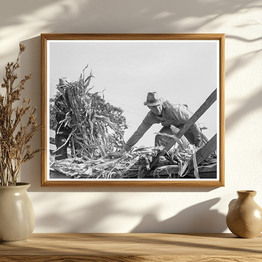 Yamhill County Farmers Feeding Corn October 1939 Photo - Available at KNOWOL