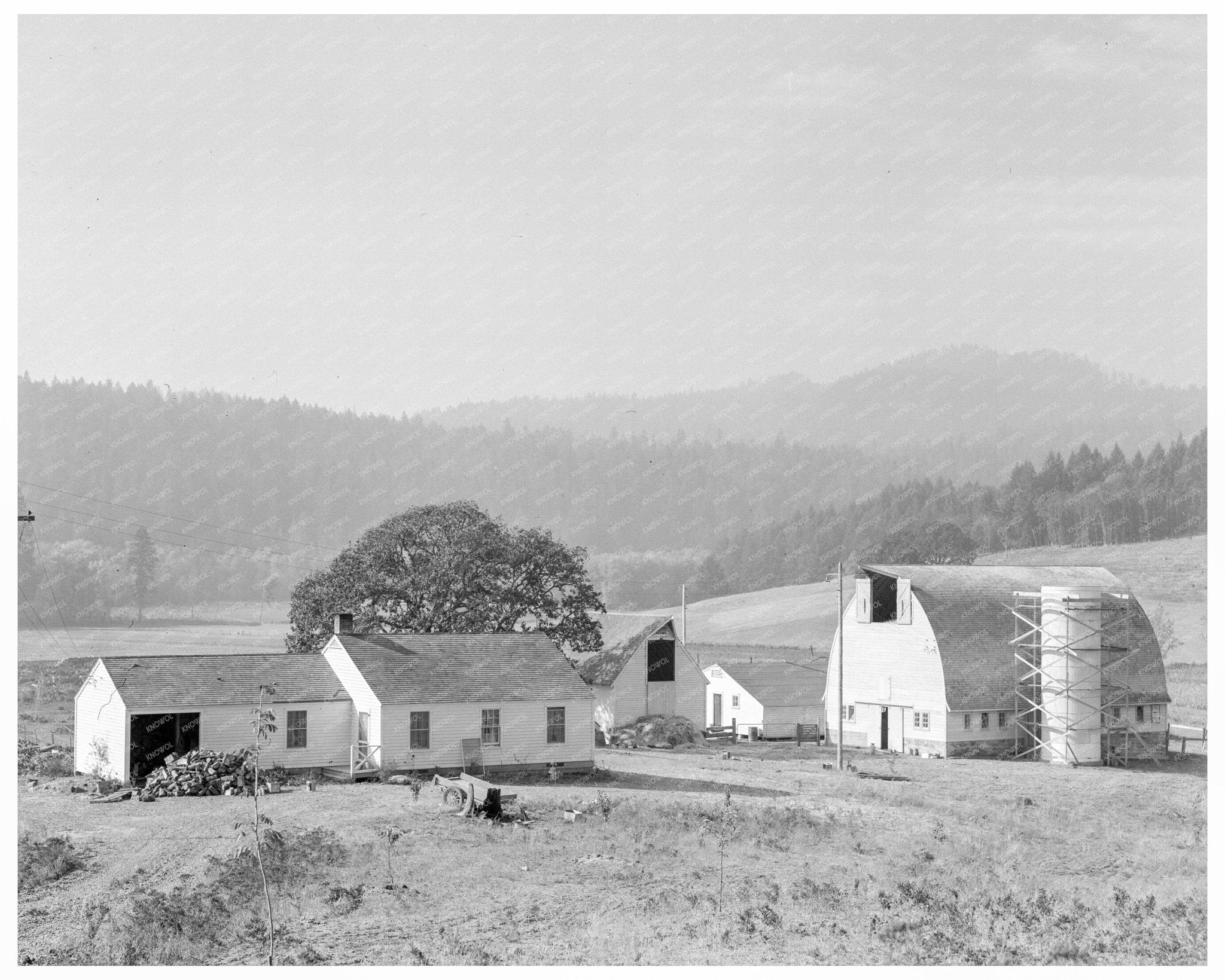 Yamhill Farms Oregon 1939 Agricultural Practices Image - Available at KNOWOL