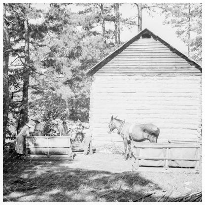 Young Boy Collecting Sticks in Granville County 1939 - Available at KNOWOL