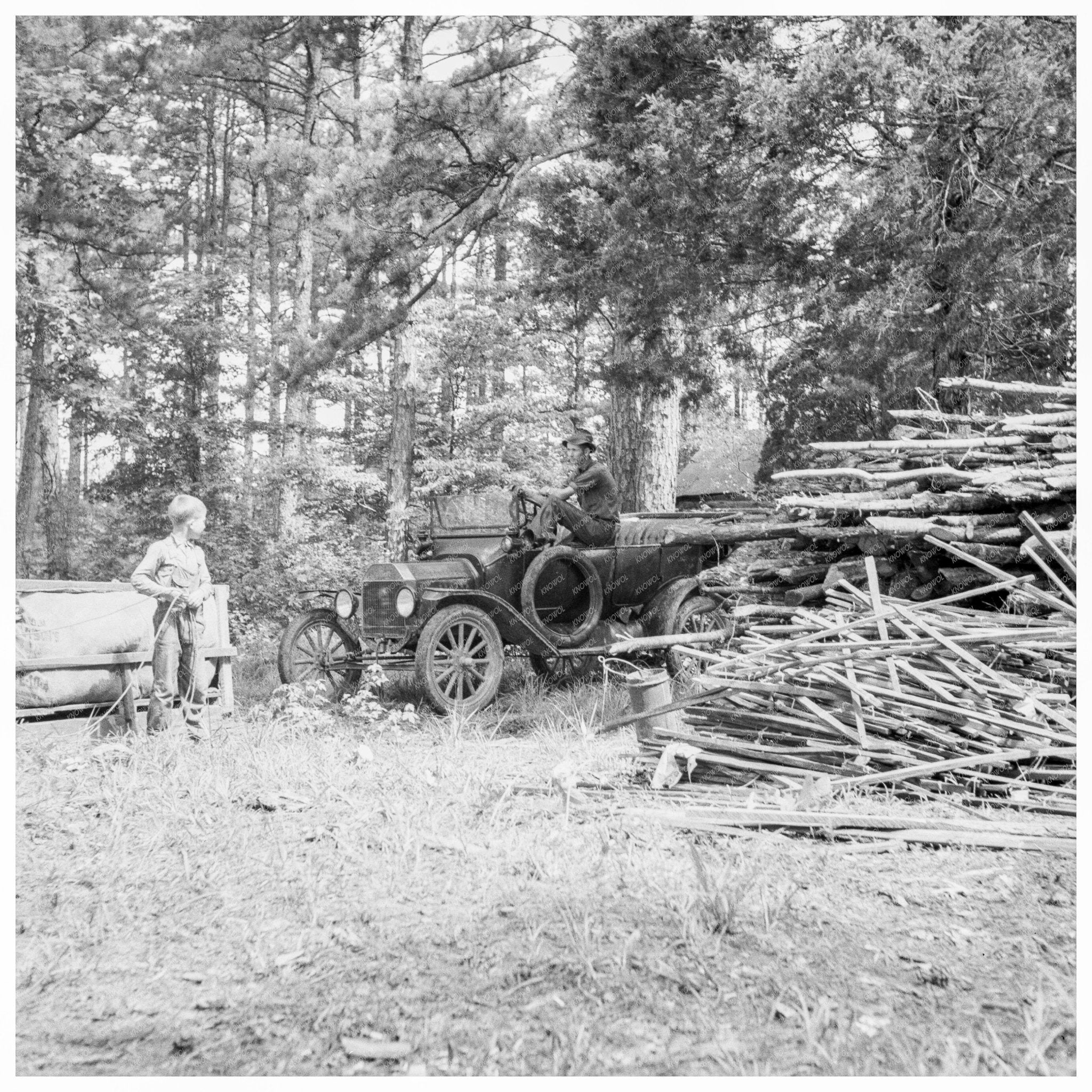 Young Boy Gathering Sticks for Tobacco Harvest 1939 - Available at KNOWOL