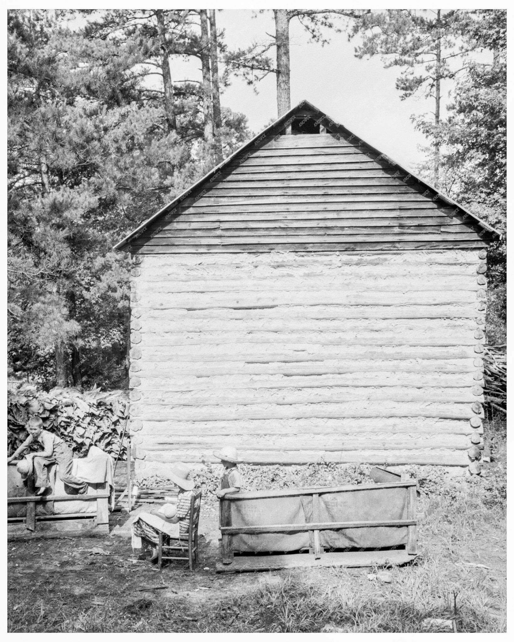 Young Boy Gathering Sticks for Tobacco Workers Granville County North Carolina 1939 - Available at KNOWOL