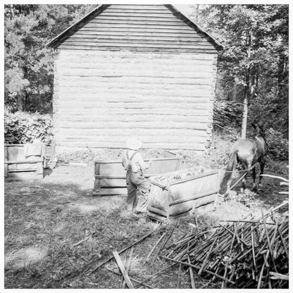 Young boy gathers sticks for tobacco stringing 1939 - Available at KNOWOL