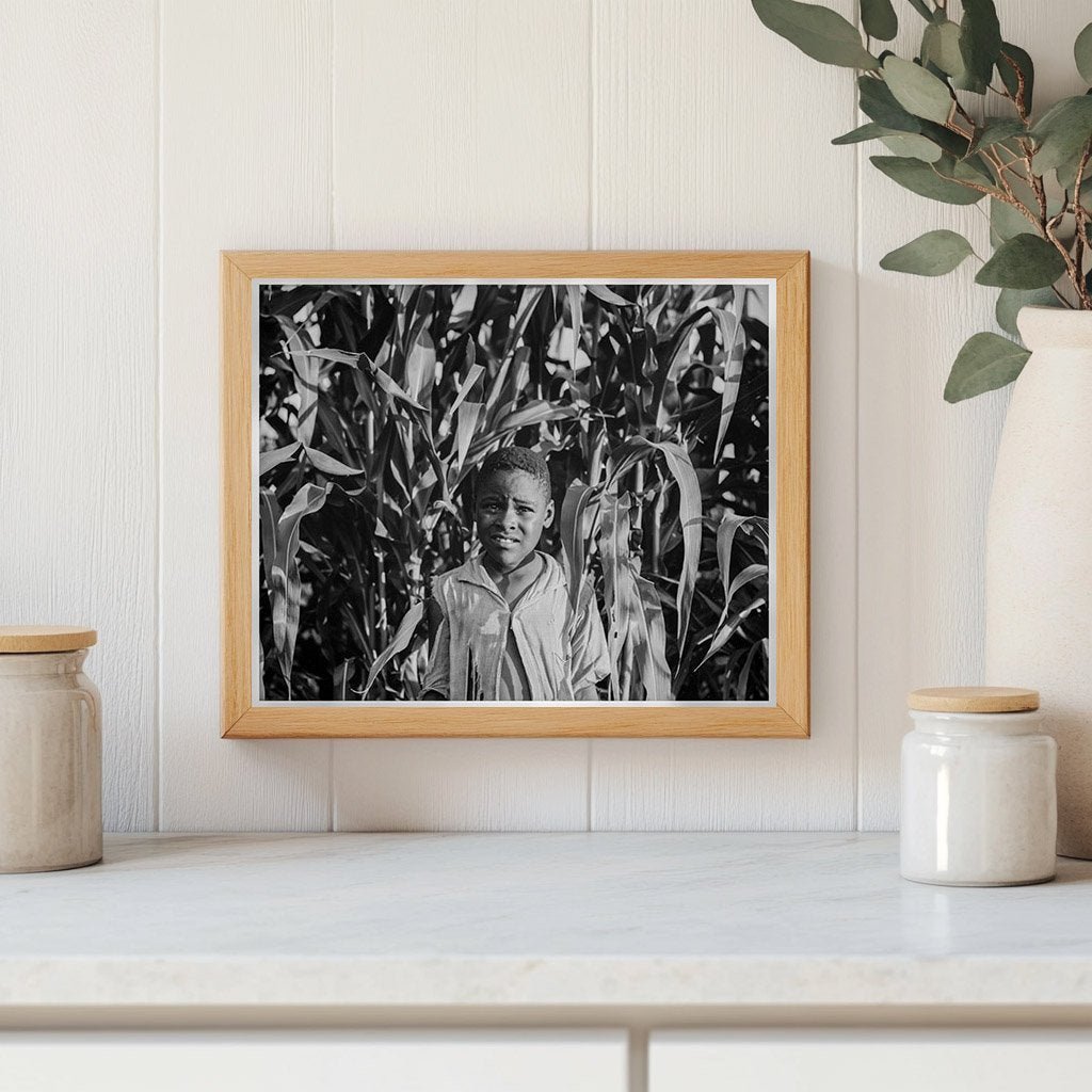 Young Boy in Cornfield Leland Mississippi 1937 - Available at KNOWOL