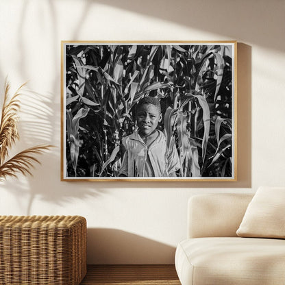 Young Boy in Cornfield Leland Mississippi 1937 - Available at KNOWOL