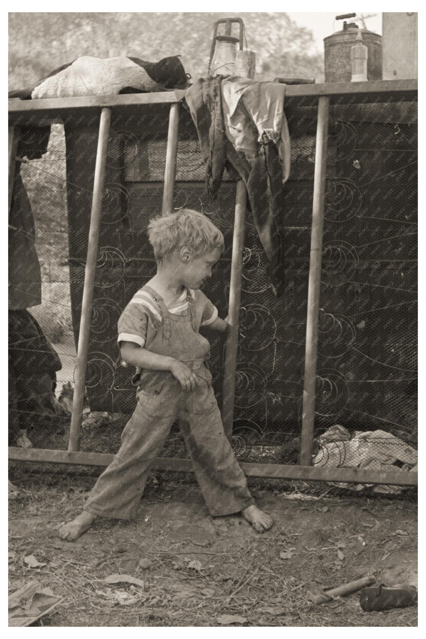 Young Boy of Migrant Family Near Sacramento California November 1936 Farm Security Administration - Available at KNOWOL