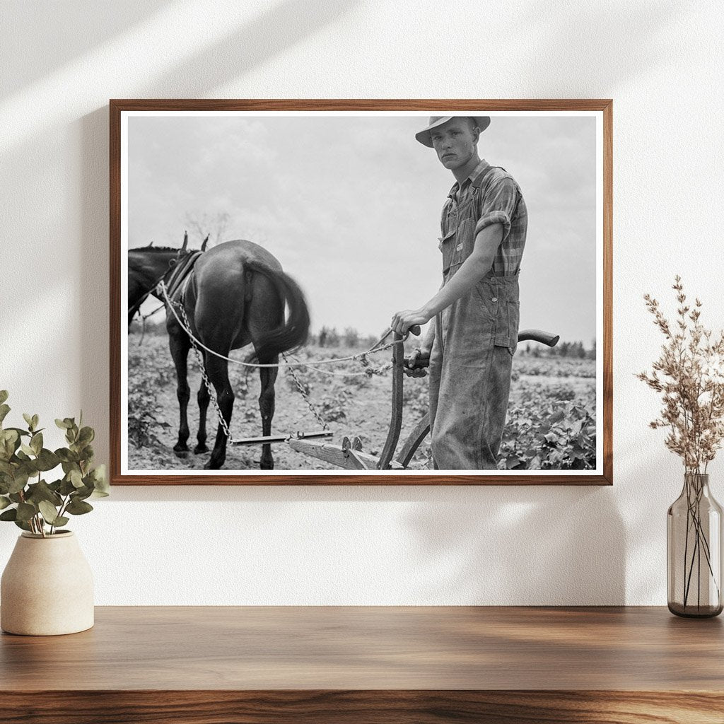 Young Boy Working in Cotton Field South Carolina 1937 - Available at KNOWOL