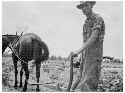 Young Boy Working in Cotton Field South Carolina 1937 - Available at KNOWOL