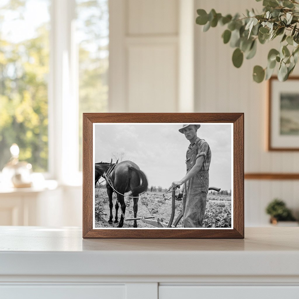 Young Boy Working in Cotton Field South Carolina 1937 - Available at KNOWOL