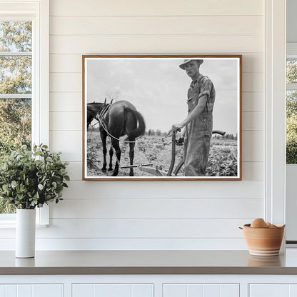 Young Boy Working in Cotton Field South Carolina 1937 - Available at KNOWOL