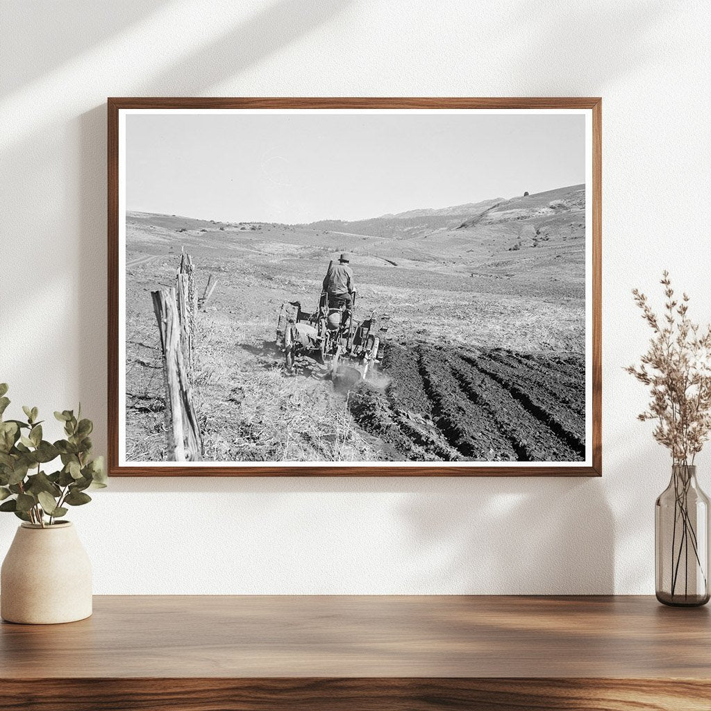 Young Farmer Plowing in Gem County Idaho 1939 - Available at KNOWOL